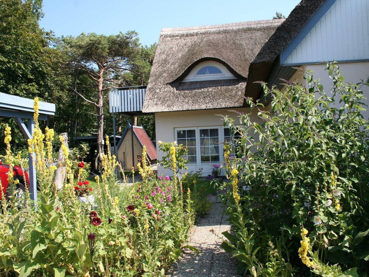 Ganze Ferienwohnung, Am Strand in Ostseebad Wustrow, Wustrow