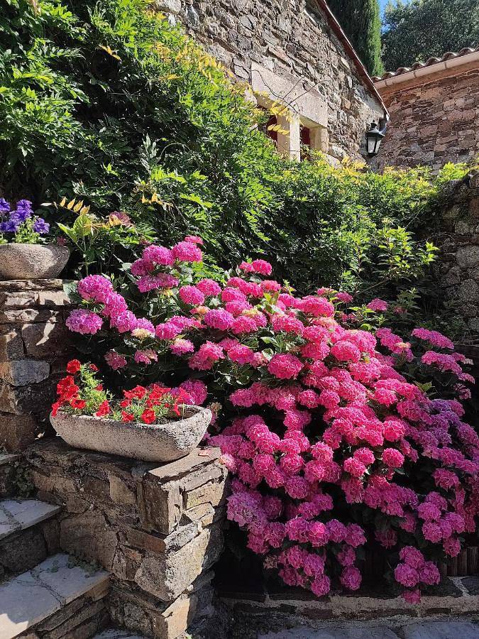 Gîte pour 2 personnes, avec jardin à Bréau-et-Salagosse