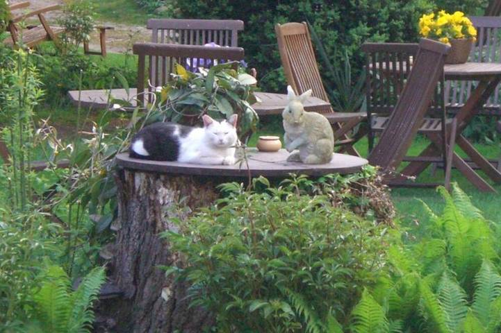 Bauernhof für 7 Personen, mit Garten im Spreewald - 4