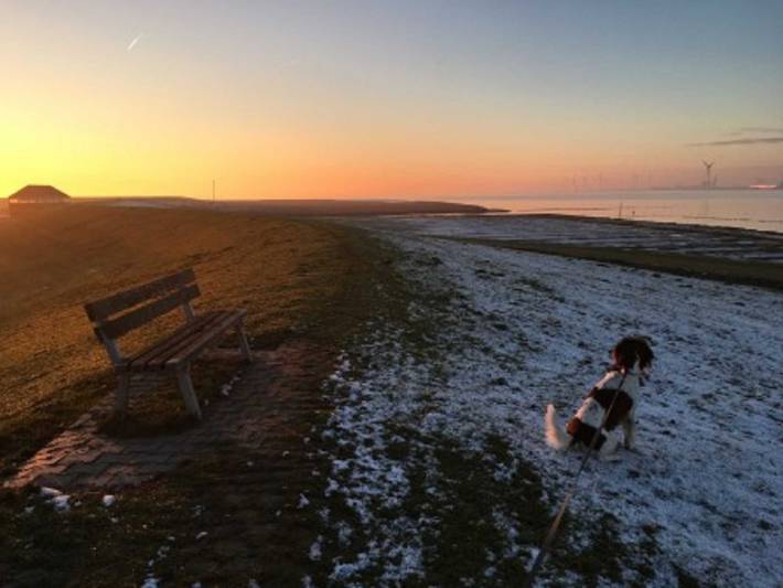 Ferienhaus für 4 Personen, mit Terrasse und Garten, mit Haustier in Ostfriesland - 4