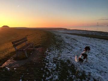 Ferienhaus für 4 Personen in Jemgum, Südliche Nordseeküste, Bild 3