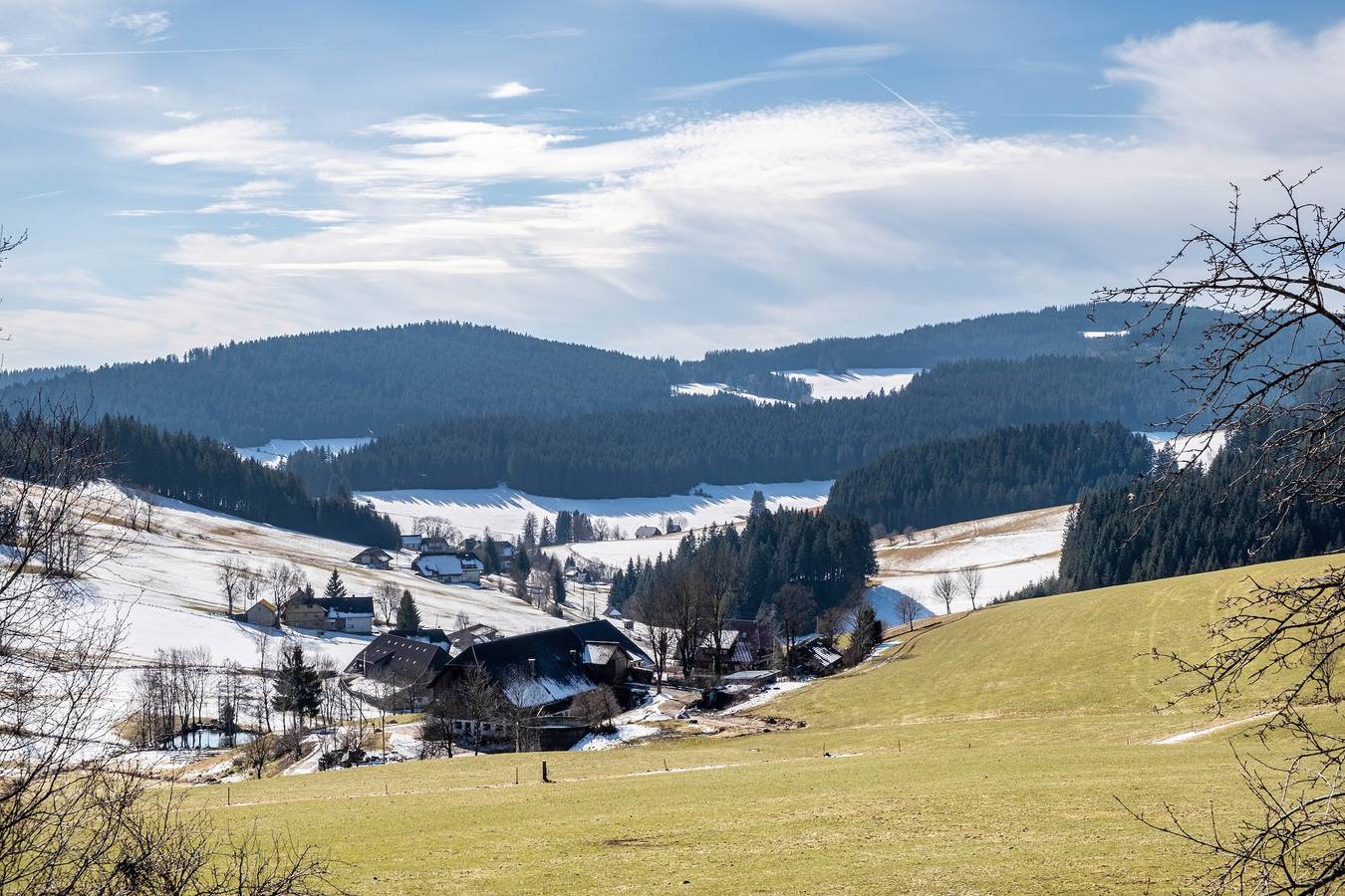 Ganze Wohnung, Ferienwohnung 'Hochfirst' mit 2 Schlafzimmern und Panorama-Balkon in Titisee-Neustadt, Südschwarzwald