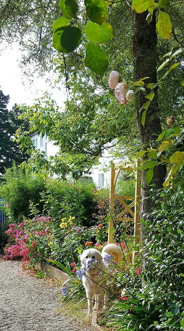 Le Pavillon de la Brière - La Rose Briéronne in Saint-Lyphard, Région de Saint-Nazaire