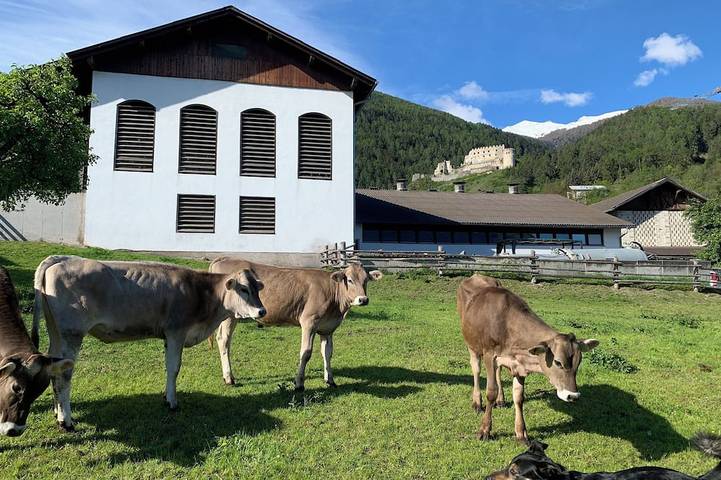 Hütte für 8 Personen, mit Garten, mit Haustier im Vinschgau