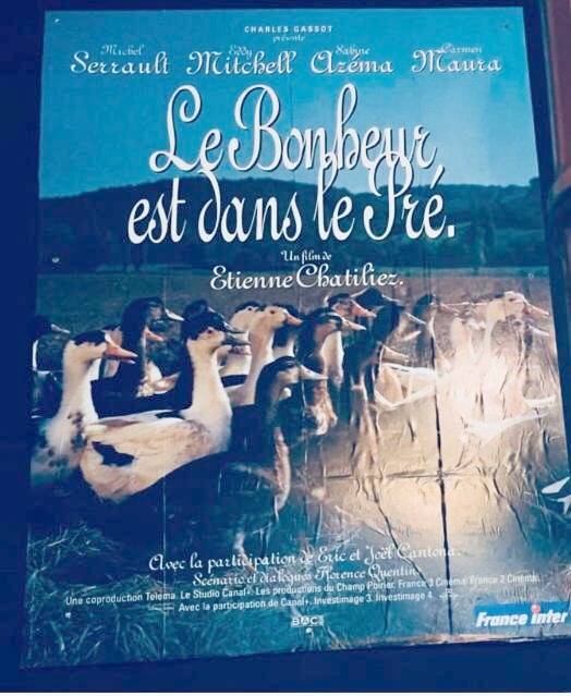 Location de vacances pour 4 personnes, avec jardin à Condom - 2