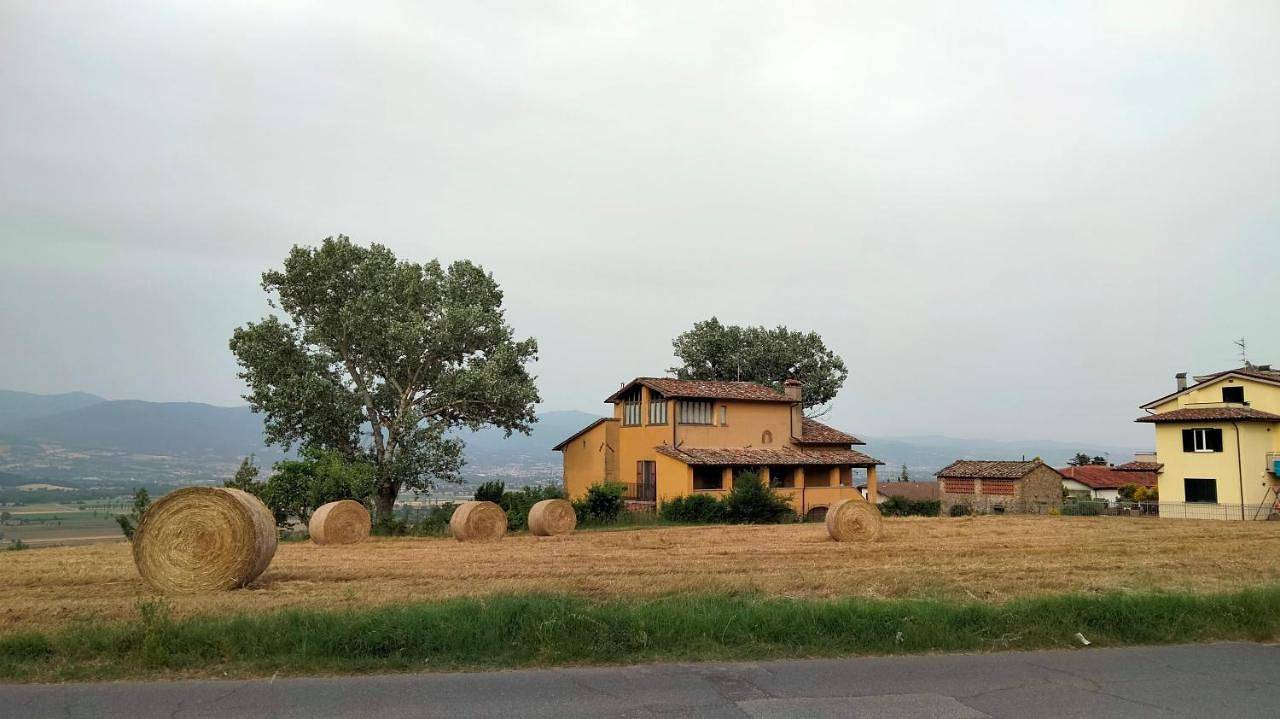 Appartamento intero, Vigna del Poggio in Anghiari, Valtiberina