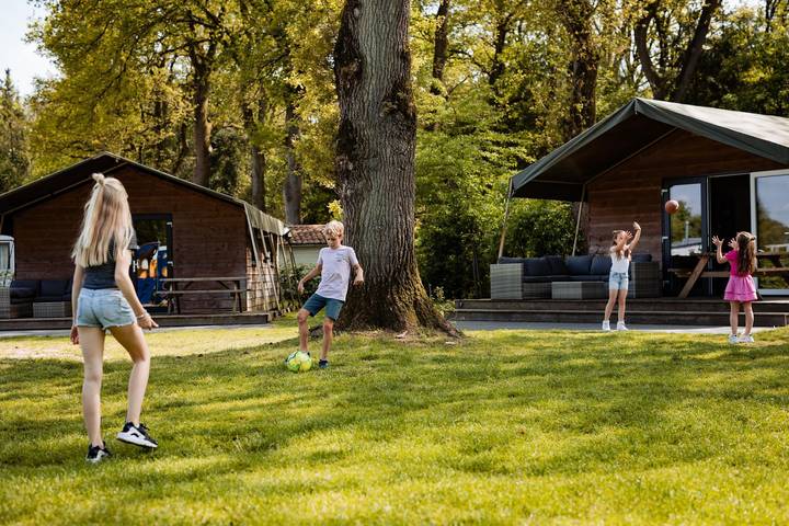 Location de vacances pour 5 personnes dans Nijverdal - 2