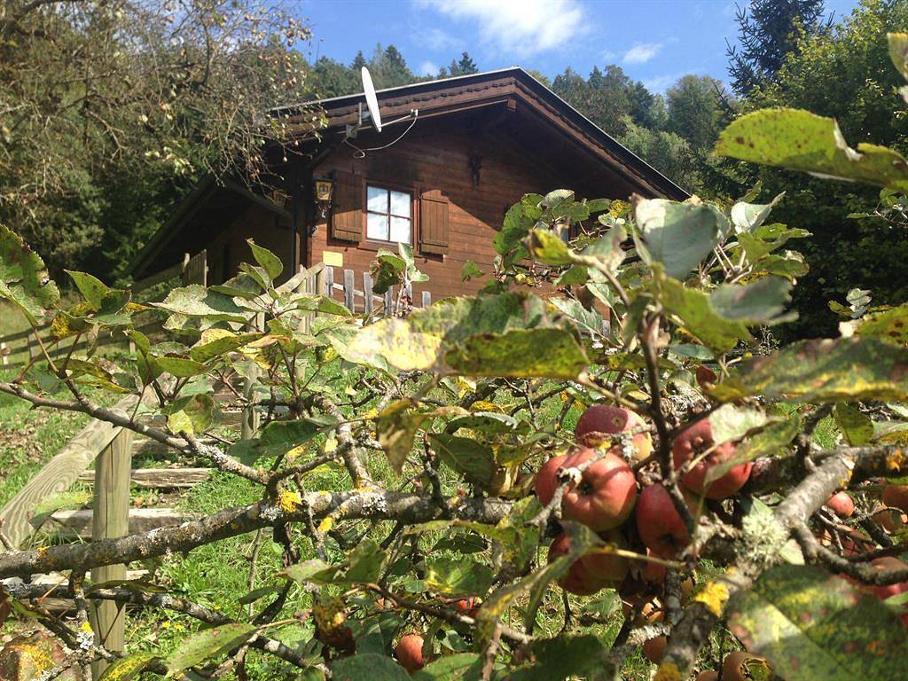 Ganze Ferienwohnung, "Gartenblick" in Spittal an der Drau, Oberkärnten