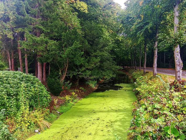 Ferienhaus für 4 Personen an der Westküste Dänemarks - 2