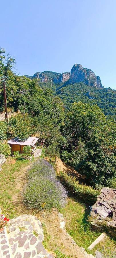 Gîte pour 10 personnes, avec sauna ainsi que vue et balcon à Fontan - 4