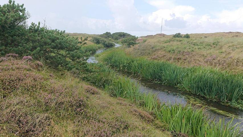 Ferienwohnung für 5 Personen, mit Terrasse in Vejers Strand - 3