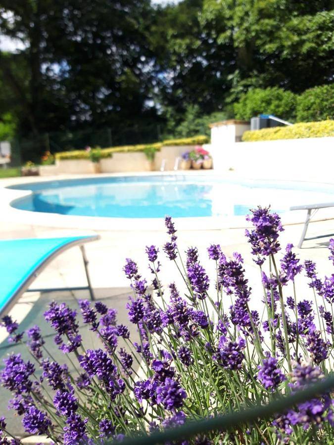 Location de vacances pour 6 personnes, avec Terrasse et Jardin ainsi que Bassin pour enfant et Piscine à Langoëlan - 3
