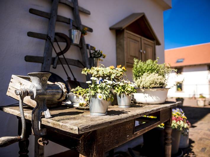 Ferienhaus für 2 Personen, kinderfreundlich in Saar-Nahe-Bergland - 4