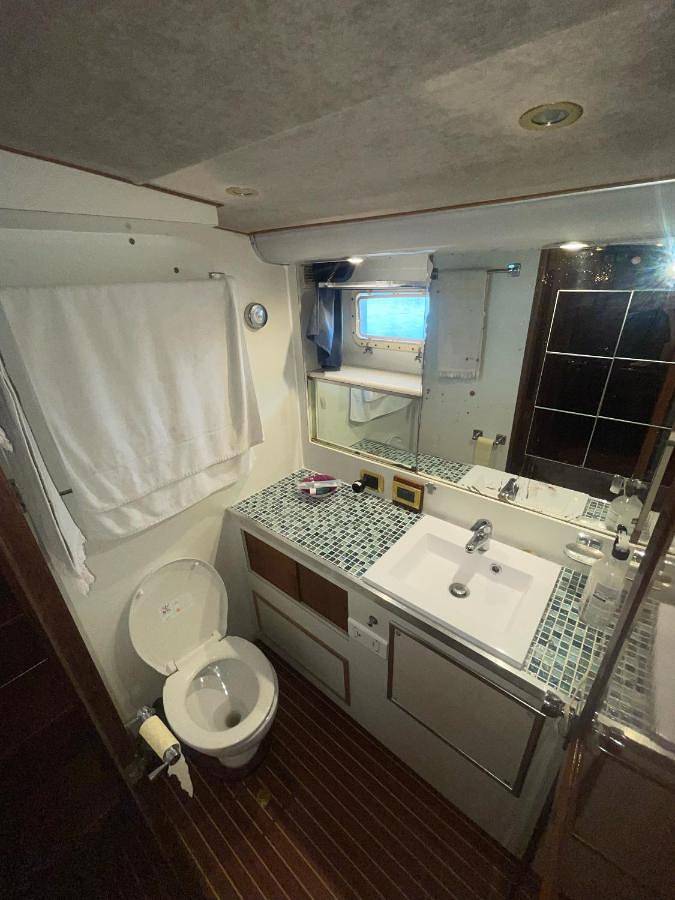 Bateau pour 4 personnes, avec terrasse et vue dans le Gard - 4