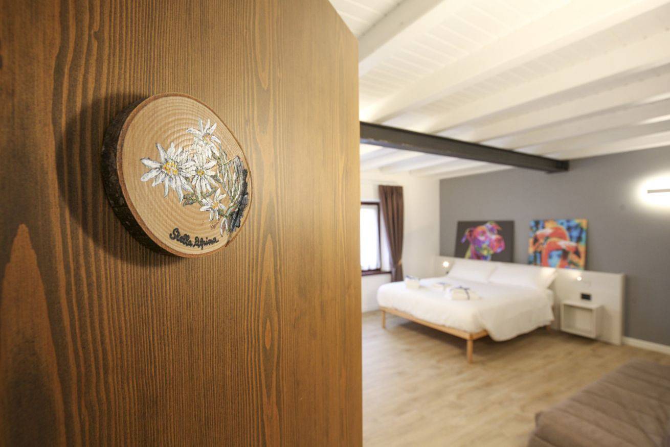 Ganze Wohnung, Le Tofane - Room Stella Alpina in Belluno, Schiaragruppe