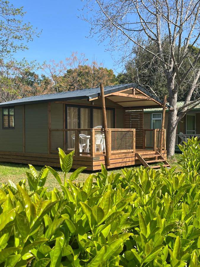 One-Bedroom Chalet in Sorbo-Ocagnano, Arrondissement de Corte