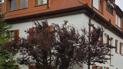 Ferienwohnung für 4 Personen in Cotta