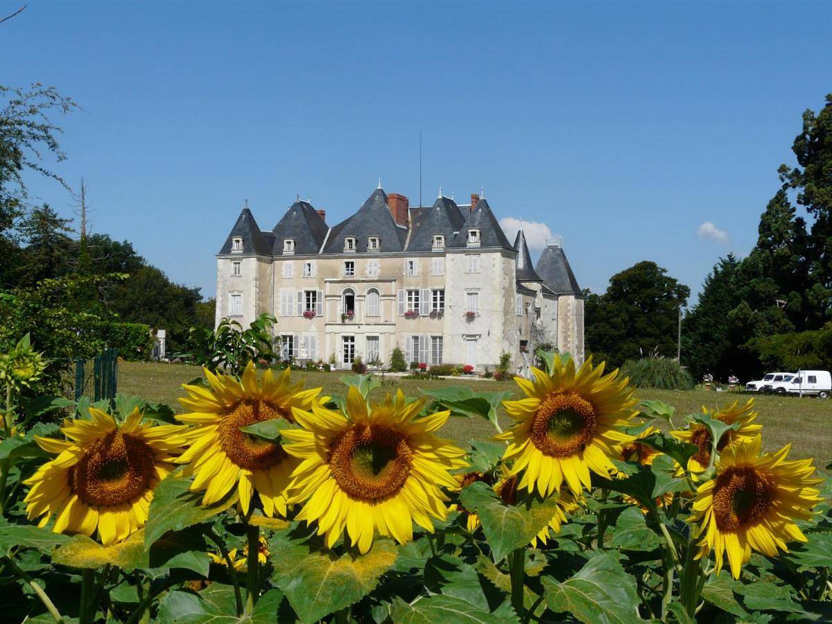 Château de Piolant in Dangé-Saint-Romain, Vienne (France)