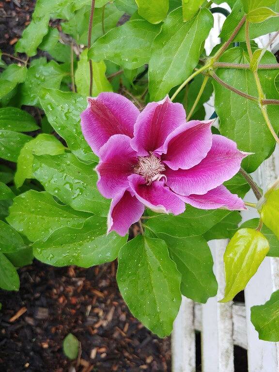 Ganze Wohnung, Apartment in historic farmhouse in Lake Champlain