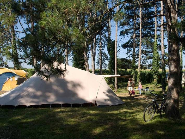Camping Du Pas Des Biches - Mobilheim 4 personen - Orchidee in Celles (Charente-Maritime), Jonzac und Umgebung