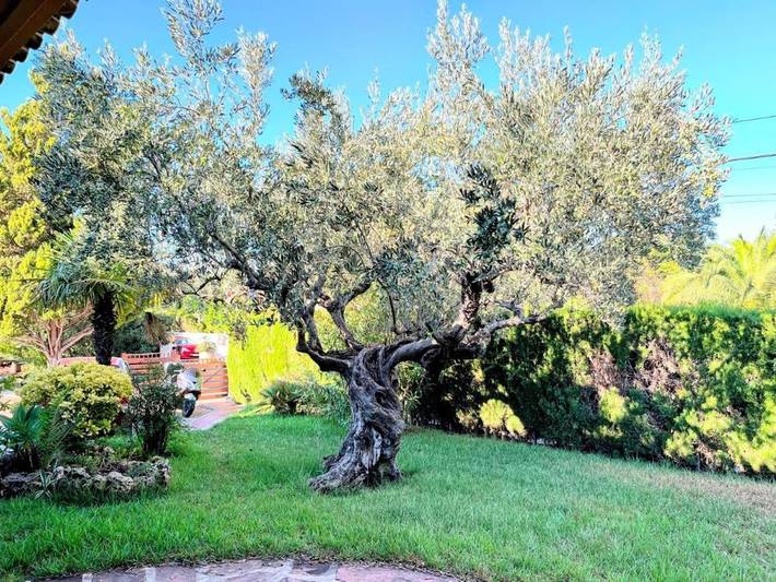 Casa rural para 10 personas, con piscina además de vistas y jardín en Benicasim - 3