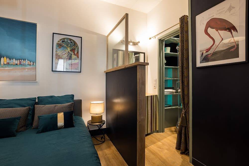 Entire apartment, Comfort and refinement in the heart of the city in Valence, Valence region