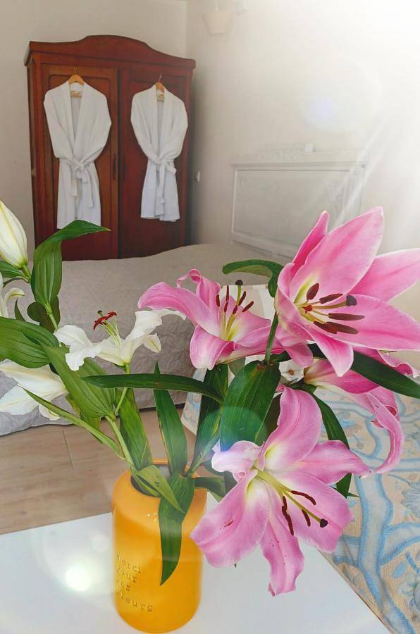 Gîte pour 3 personnes, avec jacuzzi et jardin, animaux acceptés à Peyrolles-en-Provence - 4