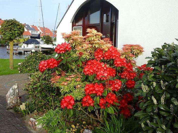 Ferienhaus für 4 Personen, mit Terrasse in Lemmer