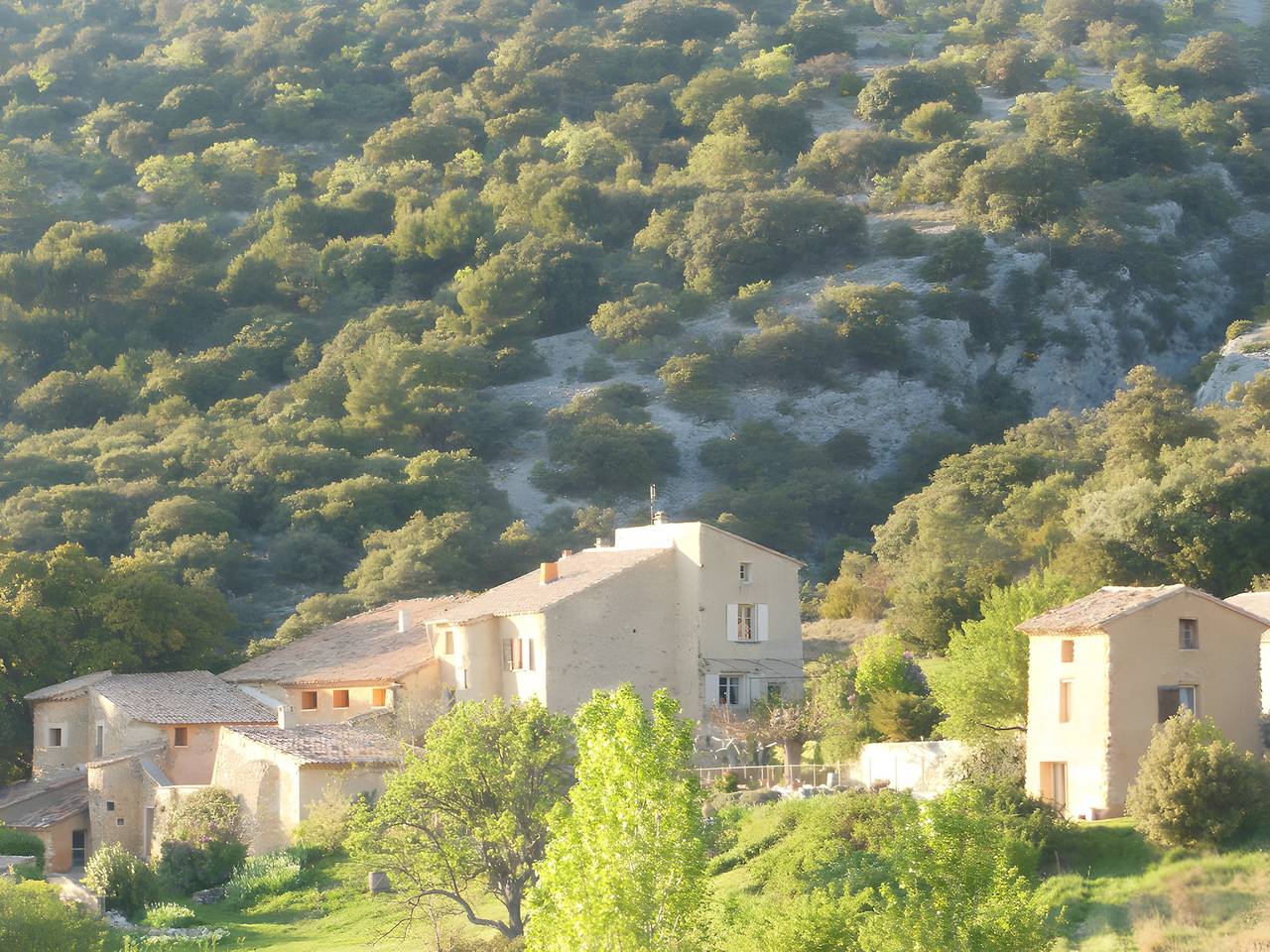 Gîte sur les contreforts du mont ventoux - bédoin 84 in Bédoin, Parc naturel régional du Mont-Ventoux