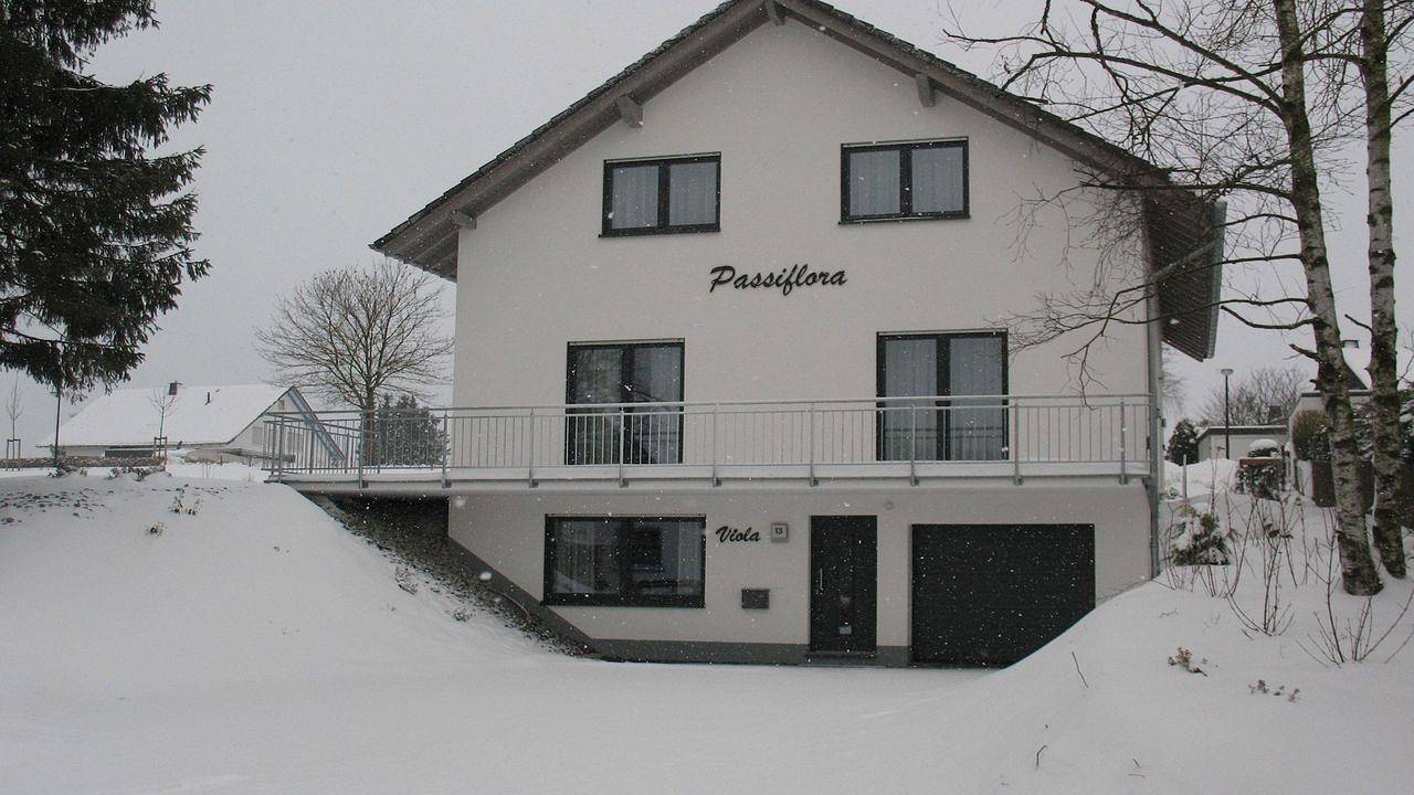 Villa für 17 Personen in Medebach, die Mittelgebirge