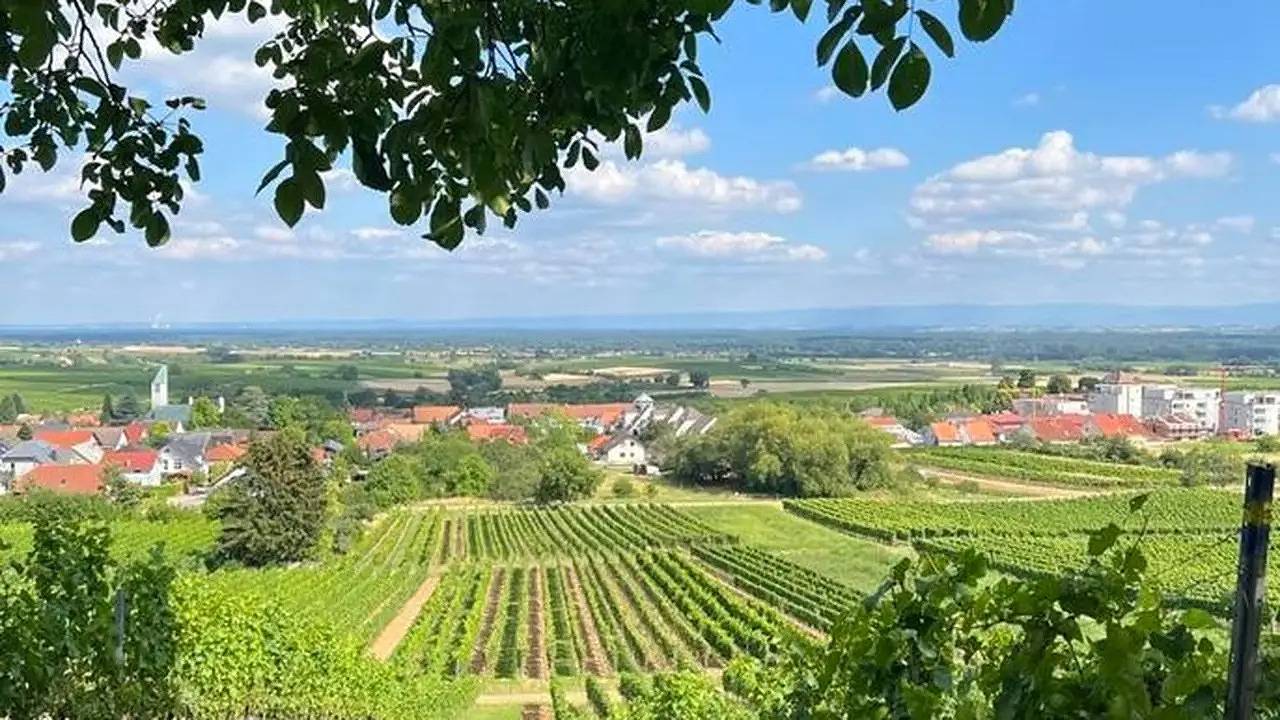 Apartamento vacacional entero, Ferienwohnung für 2 Personen (76 m²) in Schweigen-Rechtenbach in Schweigen-Rechtenbach, Südliche Weinstraße