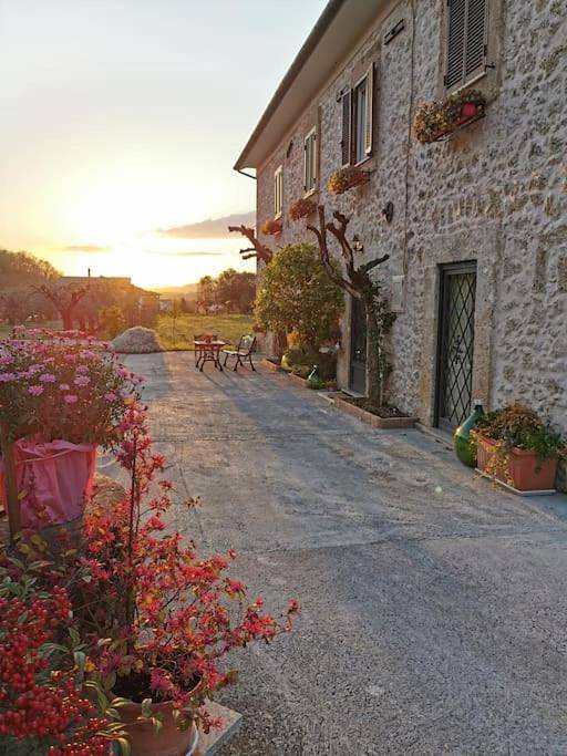 Location de vacances pour 9 personnes, avec jardin et piscine ainsi que bassin pour enfant et vue à Arpino - 3