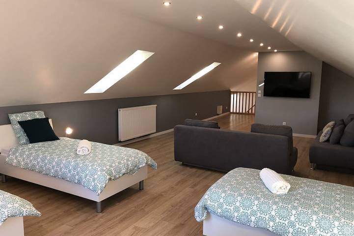 Location de vacances pour 24 personnes, avec jacuzzi ainsi que sauna et jardin à Furdenheim - 3