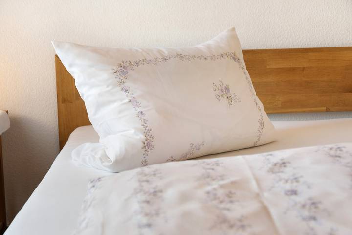 Room 'Zimmer 37' with Shared Garden and Wi-Fi in Nürtingen, Landkreis Esslingen