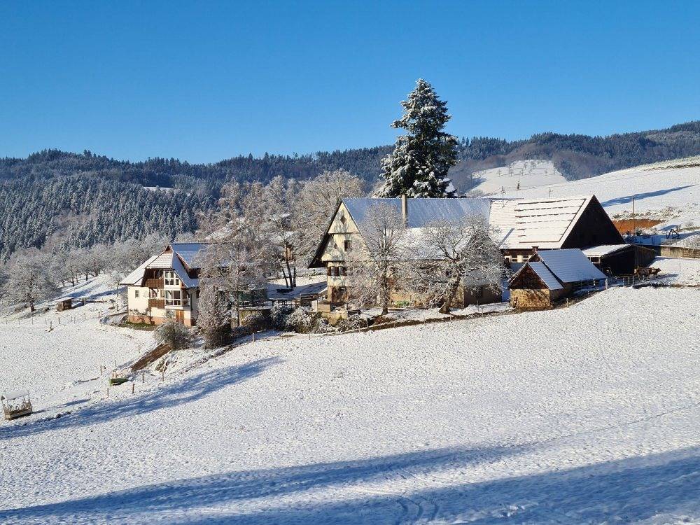 Breigenhof - Hofwohnung im Bauernhaus in Oberharmersbach, Mittlerer Schwarzwald