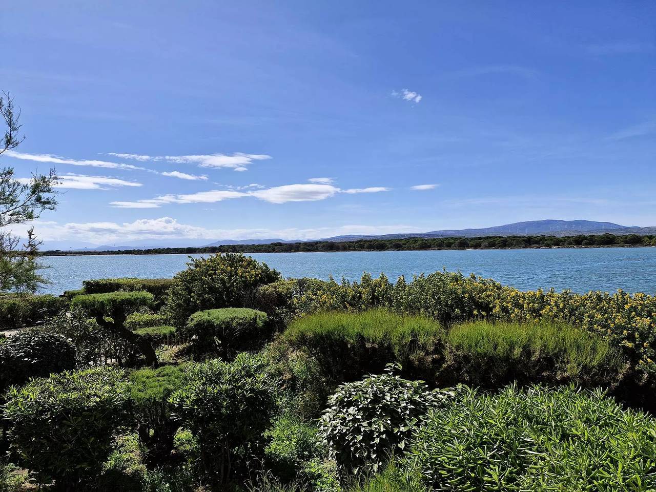 Ganze Wohnung, 2 Zimmer 4 Betten Port Leucate in Port Leucate, Leucate