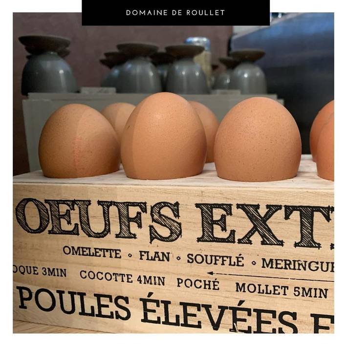 Hôtel pour 4 personnes, avec jardin à Roullet-Saint-Estèphe - 4