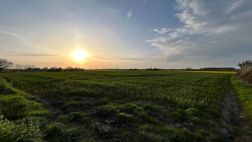 Ferienhaus für 7 Personen, mit Garten in Flovt Strand - 2