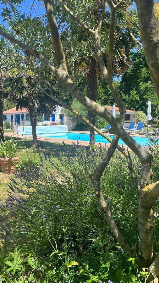 Gîtes de charme "l'écrin de Vendée" jacuzzi privatif, piscine chauffée, prestations bien être, vélos à 10 mn de l'océan sur 3,5 h de verdure in Sallertaine, Vendée