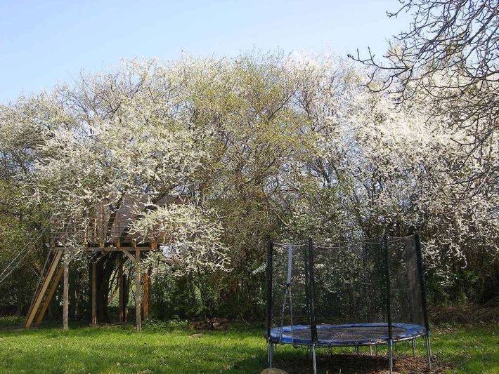Ferienwohnung für 4 Personen, mit Garten in Rambin - 3