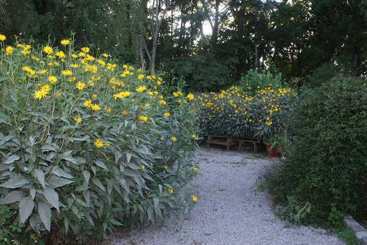 Location de vacances pour 3 personnes, avec Terrasse et Jardin à Recques-sur-Hem