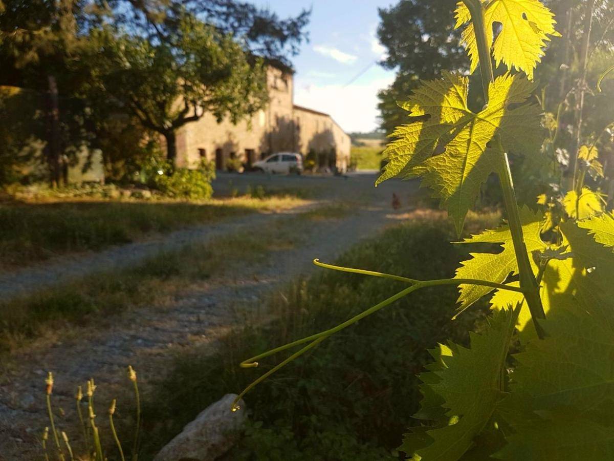 Agriturismo Podere Molino in Peccioli, Pisa Provinz
