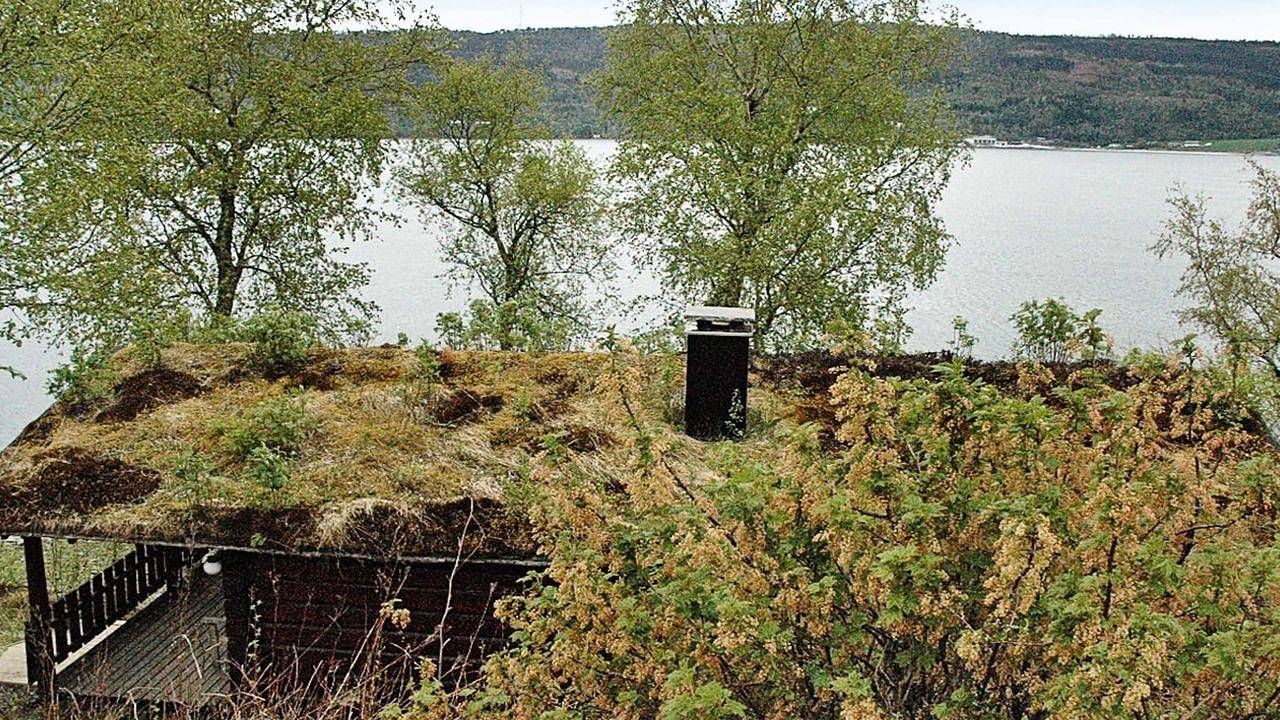 Ferienhaus für 4 Personen (44 m²) in Surnadalsøra in Surnadal, Nördliches Fjordnorwegen