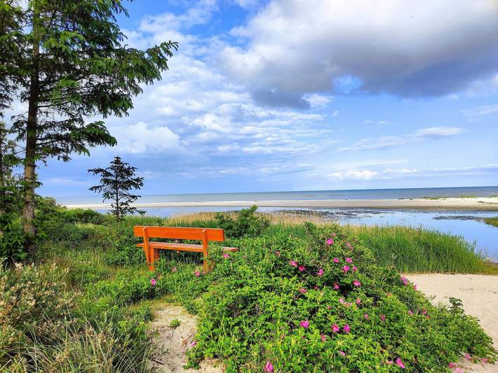 Ferienhaus für 6 Personen, mit Sauna und Garten sowie Whirlpool und Terrasse, kinderfreundlich in Binderup Strand - 3