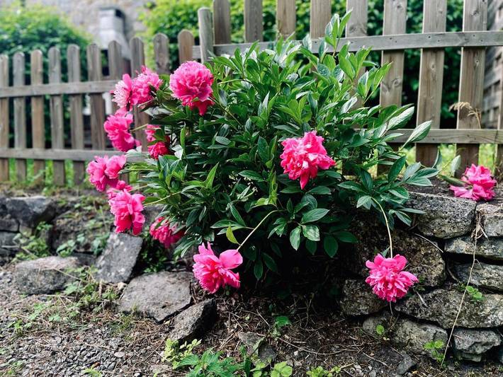 Location de vacances pour 4 personnes, avec vue et jardin dans Celles (Houyet) - 2