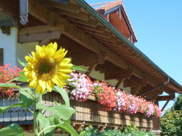 Pension für 5 Personen, mit Garten im Allgäu - 2