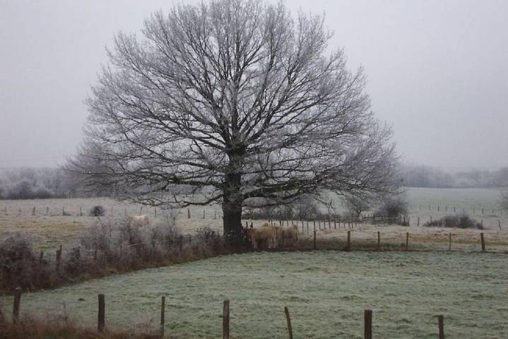 Gîte pour 2 personnes, avec vue ainsi que jardin et terrasse, animaux acceptés à Saint-Boil - 3