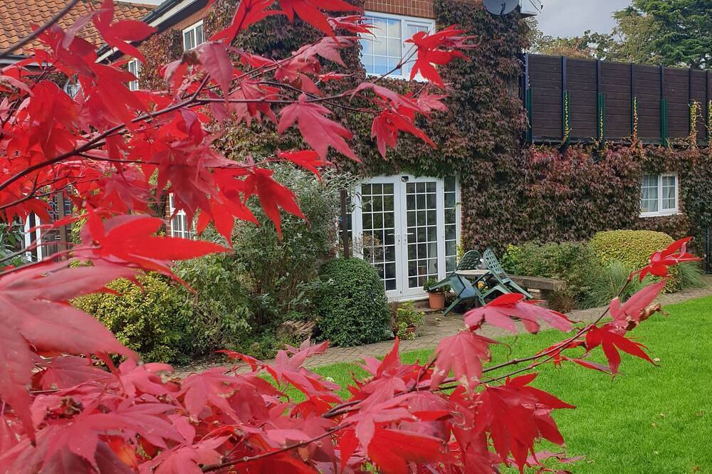 Private entrance, parking, peace and quiet within walking distance of the city in Norwich, Norfolk