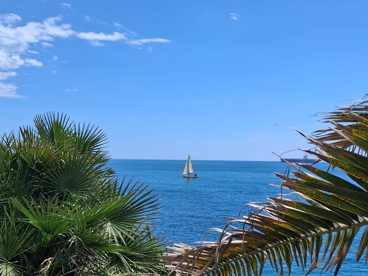 Oasis Villa Sanremo in San Remo, Sanremo Gemeinde