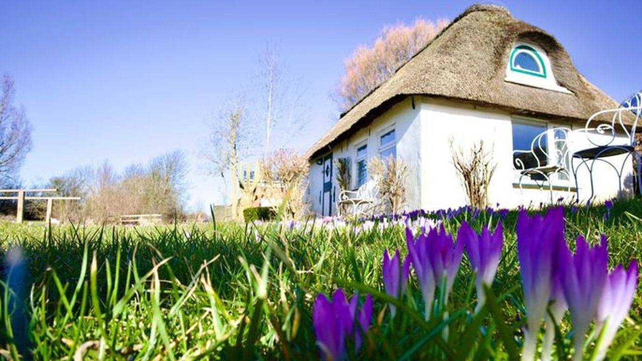 Ferienhaus für 4 Personen (38 m²) in Nordstrand in Nordstrand (Gemeinde), Nordseeküste